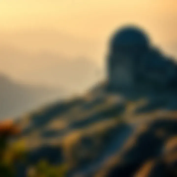 Magnificent Navigating the Acquisition of Digital Land