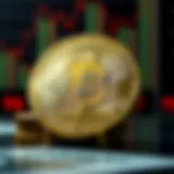 A Comprehensive Guide to Checking Cryptocurrency Prices Introduction