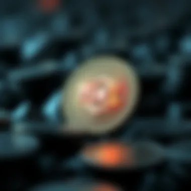 Innovative Features of Tixl Coin Illustration of Tixl Coin's innovative features