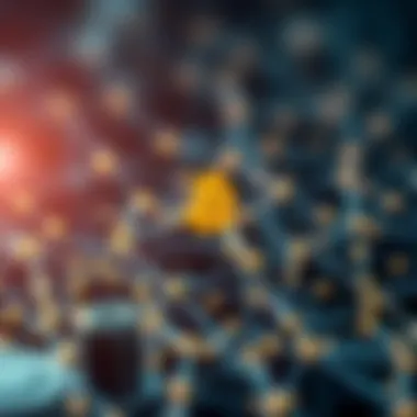 Notable Nodes in Cryptocurrency Notable Nodes in Cryptocurrency