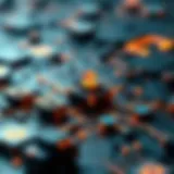 Visual representation of the Nervos Network architecture