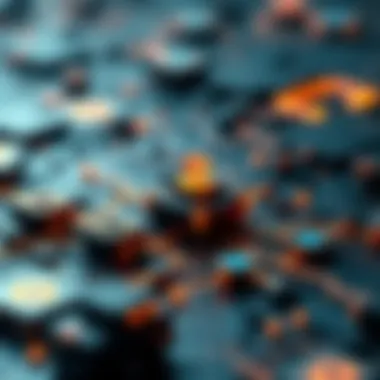 Visual representation of the Nervos Network architecture